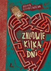 Zaledwie kilka dni (Uszkodzona okładka)