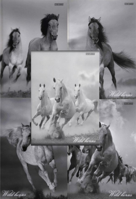 Brulion A5 Top-2000 w linie 96 kartek Wild horses mix - <br />
