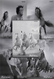 Brulion A5 Top-2000 w linie 96 kartek Wild horses mix - <br />