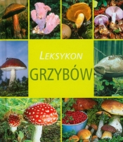 Leksykon grzybów