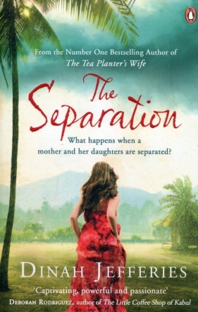 The Separation - Dinah Jefferies