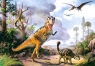 PUZZLE TYRRANOSAURUS REX 500 ELEMENTÓW CASTOR</h1>