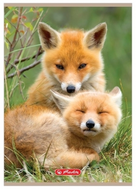 Zeszyt Herlitz A5/16k trzy linie - Animals, 1 szt (9583055)
