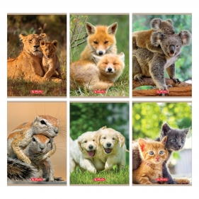 Zeszyt Herlitz A5/16k trzy linie - Animals, 1 szt (9583055)
