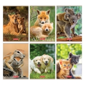 Zeszyt Herlitz A5/16k trzy linie - Animals, 1 szt (9583055)