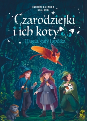 Czarodziejki i ich koty. Magia, gafy i spółka - Catherine Kalengula