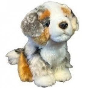 Pies australijski 19cm