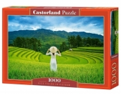 Puzzle 1000 Rice Fields in Vietnam CASTOR