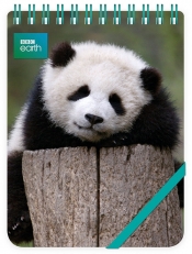 Kołonotes ozdobny Giant Panda Baby (RNP 505)