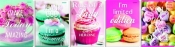 Brulion A5 w kratkę 96 kartek Pastel colours 5 sztuk mix - <br />