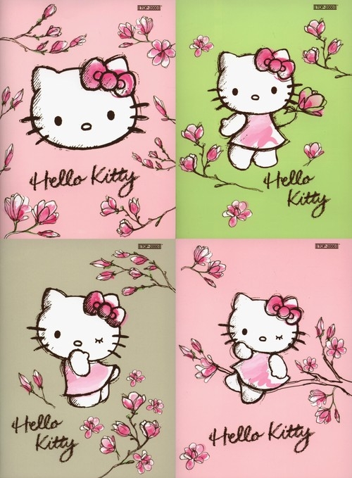 Zeszyt A5 Top-2000 w trzy linie 16 kartek Hello Kitty Magnolia mix