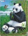 Puzzle Panda