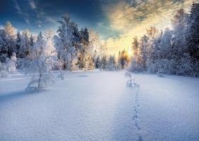 Puzzle 1000: Winter (40905)