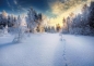 Puzzle 1000: Winter (40905)