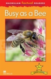 MFR 1: Busy as Bee