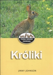 Króliki
