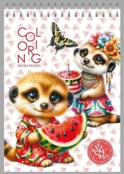 Kolorowanka 148x210 z naklejkami 26obrazków Suryka