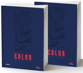 Vallejo: 75.091 - Book - Color BSL System - podręcznik malowania - Ángel Giráldez, Pedro González