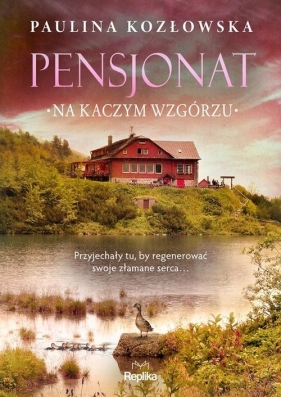 Pensjonat na Kaczym Wzgórzu (Uszkodzenia stron) - Kozłowska Paulina