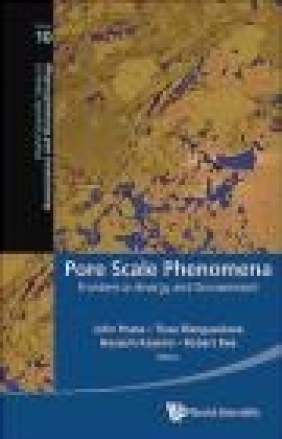 Pore Scale Phenomena : Frontiers in Energy and Environment