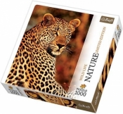 Puzzle 1000 Nature Lampart