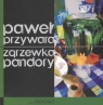 Zgrzewka pandory Przywara Paweł