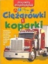 Ciężarówki i koparki. Pracowity przedszkolak