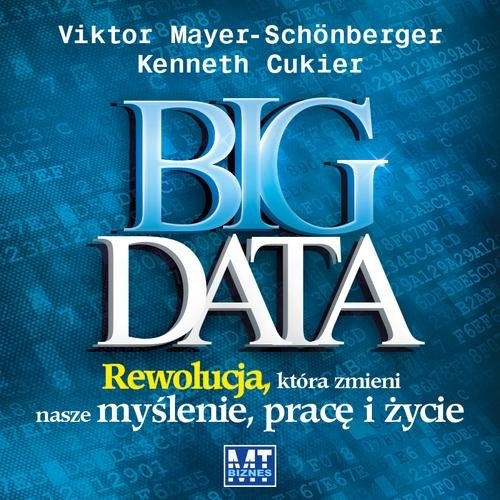 Big Data
	 (Audiobook)