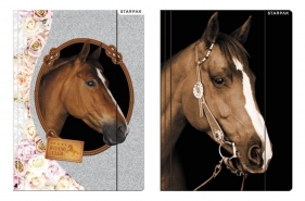 Starpak, teczka z gumką A4 Sweet Horses (298952)