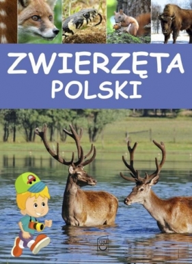 Zwierzęta Polski