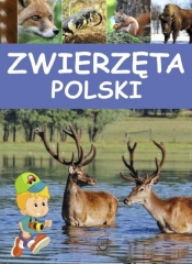 Zwierzęta Polski