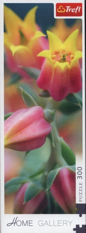 Puzzle 300: Kwiaty w rozkwicie (75005)