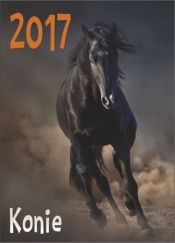 Kalenadrz 2017 Konie