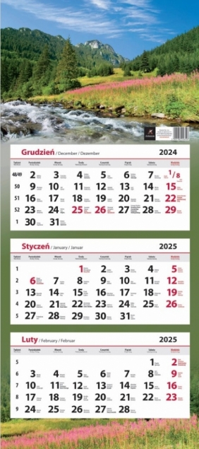 Kalendarz 2025 ścienny trójdzielny MIX