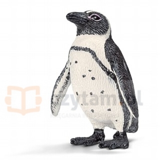 Pingwin afrykański new 2013 (14705)