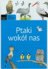 Ptaki wokół nas