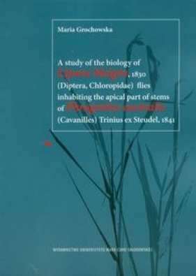 A study of the biology of Lipara Meigen 1830 flies inhabiting the apical part of stems of Phragmites australis Trinius ex Steudel 1841 - Maria Grochowska