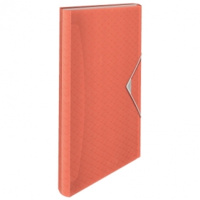 Teczka z przegródkami Esselte colour ice A4 kolor: różowy 6 przegródek (626251)