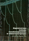 Napowietrzna izolacja wysokonapięciowa w elekttroenergetyce