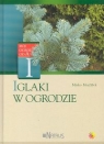 Iglaki w ogrodzie Mojzisek Mirko