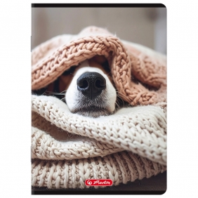 Zeszyt Herlitz A5/80k linia z marginesem, 1 szt