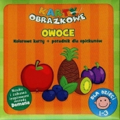 Karty obrazkowe dla dzieci Owoce - Natalia Minge, Krzysztof Minge