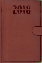 Terminarz 2018 B6 LUX złocony z zapinką - brązowy