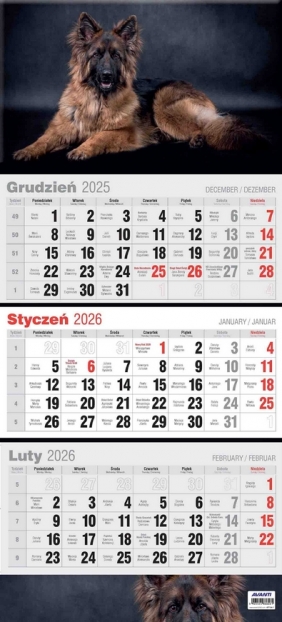 Kalendarz 2026 trójdzielny płaski, 1 szt