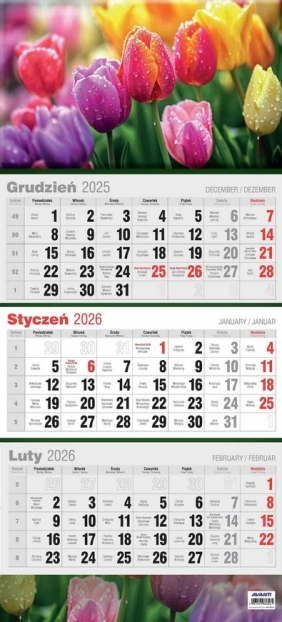 Kalendarz 2026 trójdzielny płaski, 1 szt