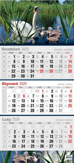 Kalendarz 2026 trójdzielny płaski, 1 szt