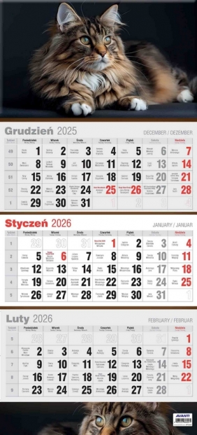 Kalendarz 2026 trójdzielny płaski, 1 szt