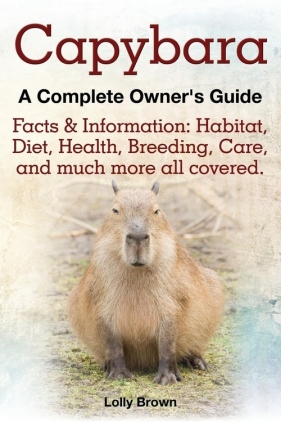 Capybara. Facts & Information - Brown Lolly