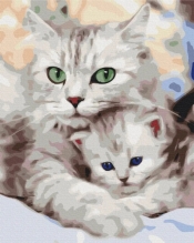 Obraz Malowanie po numerach - Kocia mama (BS52689)