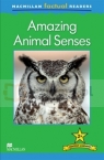 MFR 2: Amazing Animal Sense